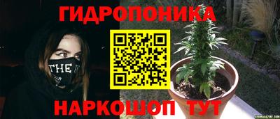 гидропоника Гусиноозёрск