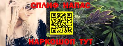 a pvp Гусь-Хрустальный