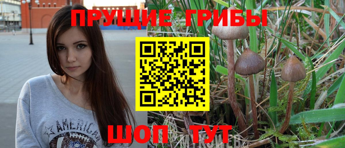 Галлюциногенные грибы ЛСД  Псилоцибиновые грибы MAGIC MUSHROOMS  Вход с VPN  Мурманск 